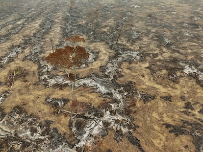 Vista aérea de la devastación de un incendio forestal en Lábrea en el Estado de Amazonas.