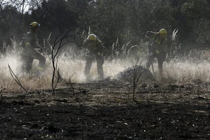 Bomberos de la Comunidad de Madrid trabajan en una de las zonas afectas en la sierra oeste de Madrid, 9 de julio de 2013.