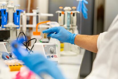 Laboratorio del Centro de Biología Integrativa de la Universidad de Talca. 