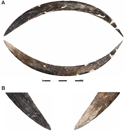 El bumerán hecho de colmillo de mamut de la cueva de Obłazowa.