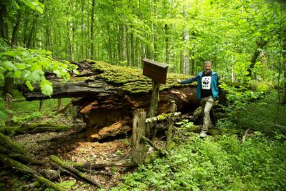 Tomasz Pezold Knežević, especialista en conservación de la biodiversidad de WWF, junto a un árbol muerto que sirve ahora para dar vida a nuevas especies en Bialowieza.