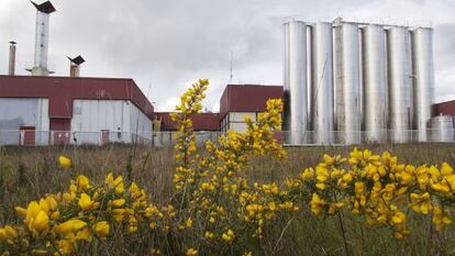 Planta de Alimentos Lácteos en Outeiro de Rei (Lugo)