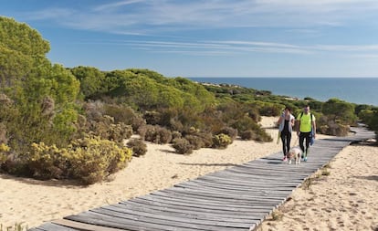 Pasarela del espacio natural de Doñana, en Almonte (Huelva).