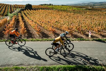 Orbea Wine and Gravel