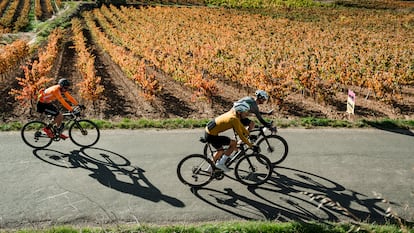 El exciclista profesional Haimar Zubeldia, de amarillo, durante la Orbea Wine and Gravel, celebrada en Laguardia, en una imagen cedida por la organización.