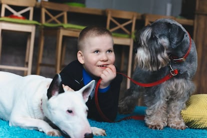 Niño con dos perros en una alfombra.