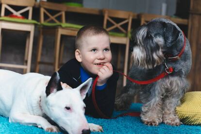 Niño con dos perros en una alfombra.