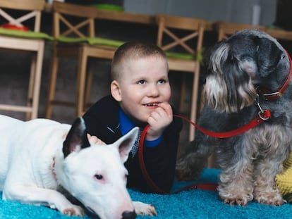 Niño con dos perros en una alfombra.