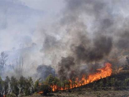 Incendio en Horcajada de la Torre, Cuenca