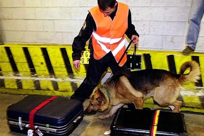 Un agente comprueba equipajes con la ayuda de un perro durante una visita el año pasado del anterior ministro de Interior, Nicolas Sarkozy, al Roissy-Charles de Gaulle.