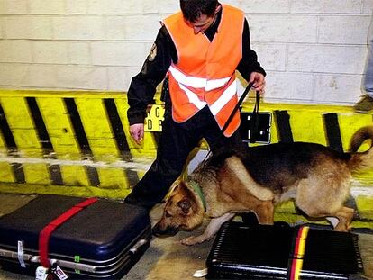 Un agente comprueba equipajes con la ayuda de un perro durante una visita el año pasado del anterior ministro de Interior, Nicolas Sarkozy, al Roissy-Charles de Gaulle.