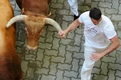 A waiter holds the horn of one of the bulls from the Domingo Hernández Martín ranch, from El Palancar de Traguntía (Salamanca), this Thursday, during the fifth San Fermín bull run.