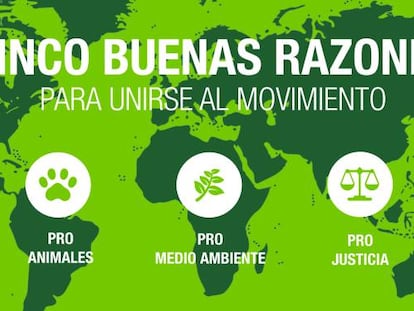 COP23 Bonn, ¿la enésima reunión para salvar el clima?