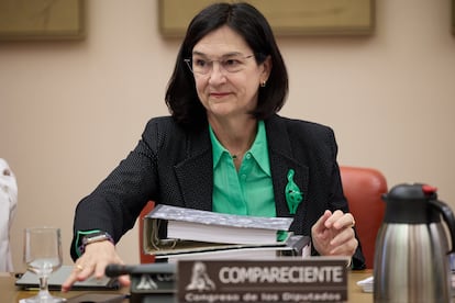 La presidenta de la Comisión Nacional de los Mercados y Competencia (CNMC), Cani Fernández.