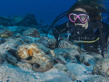 Fondos de Fuerteventura.