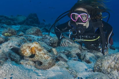 Fondos de Fuerteventura.