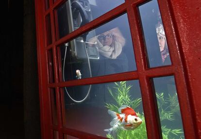 Benedetto Bufalino y Benoit Deseille han transformado una de las tradicionales cabinas de Londres en una pecera con su obra 'Aquarium'.