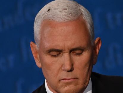 Una mosca se colocó en el cabello del vicepresidente de EE UU, Mike Pence, durante el debate.