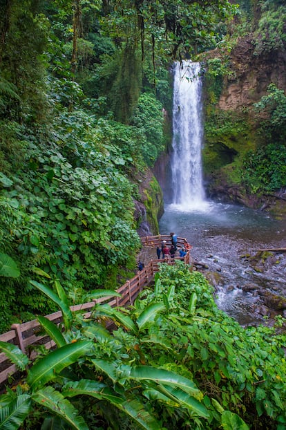 Una cascada en La Paz Waterfall Gardens Nature Park, en Costa Rica.