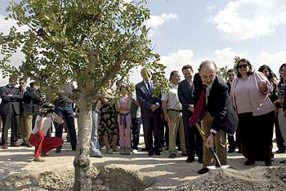 Cristóbal Montoro y Elvira Rodríguez plantan ayer un árbol en Jaén.