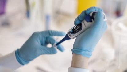 Un investigador prueba una vacuna contra el coronavirus, en la Universidad de Copenhague.