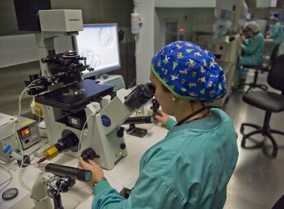 Una científica de IVI Bilbao trabajando, ayer, en uno de los laboratorios de la empresa, ubicada en Leioa.