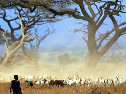 Parque Amboseli, en Kenia.