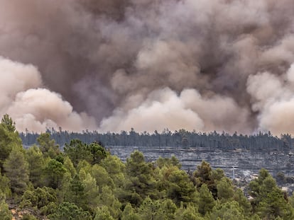 El incendio de Castellón amenaza el parque natural de Sierra de Espadán al superar un barranco