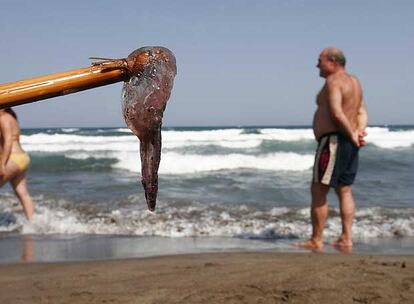 Una medusa recogida del agua con un palo en la playa de la isleta del Moro, Almería, en 2006.