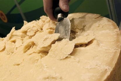 Madrid acoge la novena edición de la cumbre gastronómica internacional Madrid Fusión, que abrió ayer sus puertas con el cartel de completo con las más originales, coloridas o exclusivas alternativas culinarias. En la foto, queso parmesano.