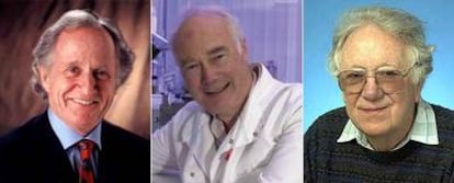 De izquierda a derecha, los científicos Mario R. Capecchi, Martin J. Evans y Oliver Smithies, galardonados con el Nobel de Medicina.
/ EFE / AFP