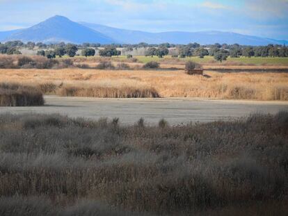 Una imagen del Parque Nacional de las Tablas de Daimiel. 