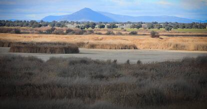 Una imagen del Parque Nacional de las Tablas de Daimiel. 