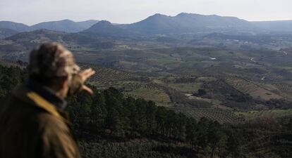 Panorámica de la Colonia de Cañamero (Cáceres).