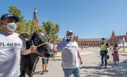 Mercadona y Pascual precio leche