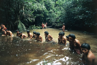 Indígenas yanomami