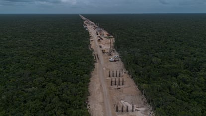 Daños ecológicos Tren Maya