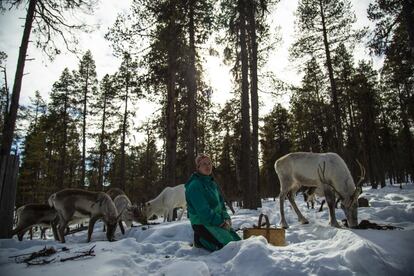 Anne Karhu-Angeli, de 38 años, vive del pastoreo de renos, la forma tradicional sami de subsistir. El proyecto ferroviario de Rovaniemi a Kirkenes amenaza el sustento de vida de la única comunidad indígena de la UE en un entorno castigado por el calentamiento global.