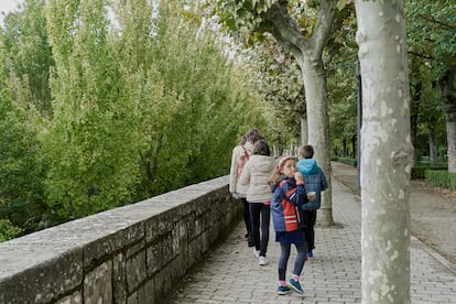 Las alineaciones de árboles dan sombra y verdor a los jardines de Pamplona.