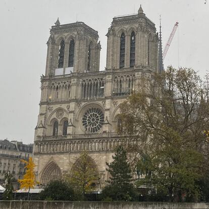 PAR?S, 05/12/2024.- La unin nacional en torno a la reconstruccin de Notre Dame ha tenido sus fisuras. ?La culpa? La sustitucin de varias vidrieras del siglo XIX, un plan apoyado por el presidente Emmanuel Macron pero rechazado pblica y jurdicamente por especialistas en arte y patrimonio. Concebidas por el arquitecto Eugne Viollet-le-Duc (1814-1879) durante la gran restauracin del siglo XIX para dar ms luminosidad al templo medieval, las vidrieras en cuestin -en seis capillas de la fachada sur- sobrevivieron al virulento incendio de abril de 2019. Sin embargo, Macron ha preferido que se cambien por unas ms modernas alegando que era necesario un toque contemporneo a la catedral.  En la imagen, vista de la fachada occidental de la catedral de Notre Dame en Pars a ms de dos semanas de su reapertura en un da de nieve. EFE/Val Torres
