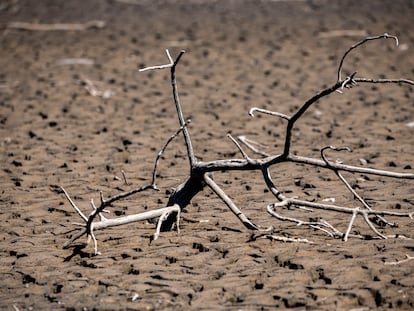 Imagen de la sequía en el pantano de Sau.