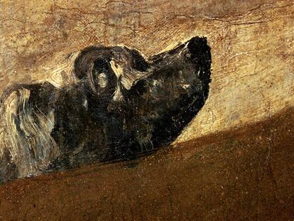 El 'Perro semihundido' de Goya, en el Museo del Prado.