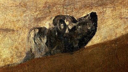 El 'Perro semihundido' de Goya, en el Museo del Prado.
