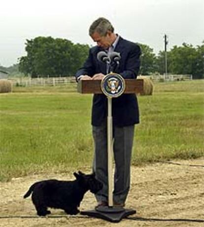 Bush, con su perro, durante una rueda de prensa ayer en su rancho de Tejas.