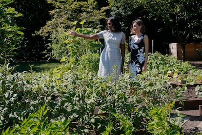 La primera dama, Michelle Obama, muestra a la reina Letizia el huerto ecológico creado por ella en la Casa Blanca para promover la alimentación saludable, en el marco del primer viaje oficial que los Reyes realizaron a Estados Unidos en septiembre de 2015. Esta visita coincidió con el 43º cumpleaños de la Reina.