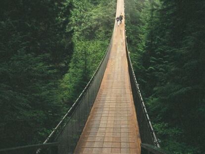 Es un puente colgante a 70 metros de altura que cruza 135 metros sobre el río Capilano en medio de un bosque.