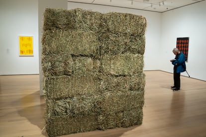 Photograph of the work entitled "Thread" by Brazilian artist Cildo Meireles.