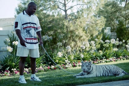 Mike Tyson.

El boxeador convivió durante 16 años con una tigresa llamada Kenya de 250 kilos. Una relación que acabó de forma precipitada cuando una mujer se coló en la mansión y Kenya le arrancó el brazo de un mordisco. En compensación, Tyson tuvo que deshacerse del felino y pagarle cerca de 230.000 euros.