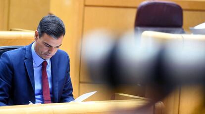 El presidente del Gobierno, Pedro Sánchez, durante la sesión de control que tiene lugar hoy en el pleno del Senado.