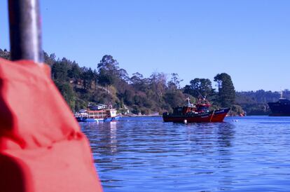 Embarcación tradicional utilizada por los pescadores artesanales durante generaciones. En ella trabajan cuadrillas de tres personas y pescan una gran variedad de especies que abundan en las aguas del océano Pacífico, como merluza, rollizo, cabrilla, congrio o pejerrey.